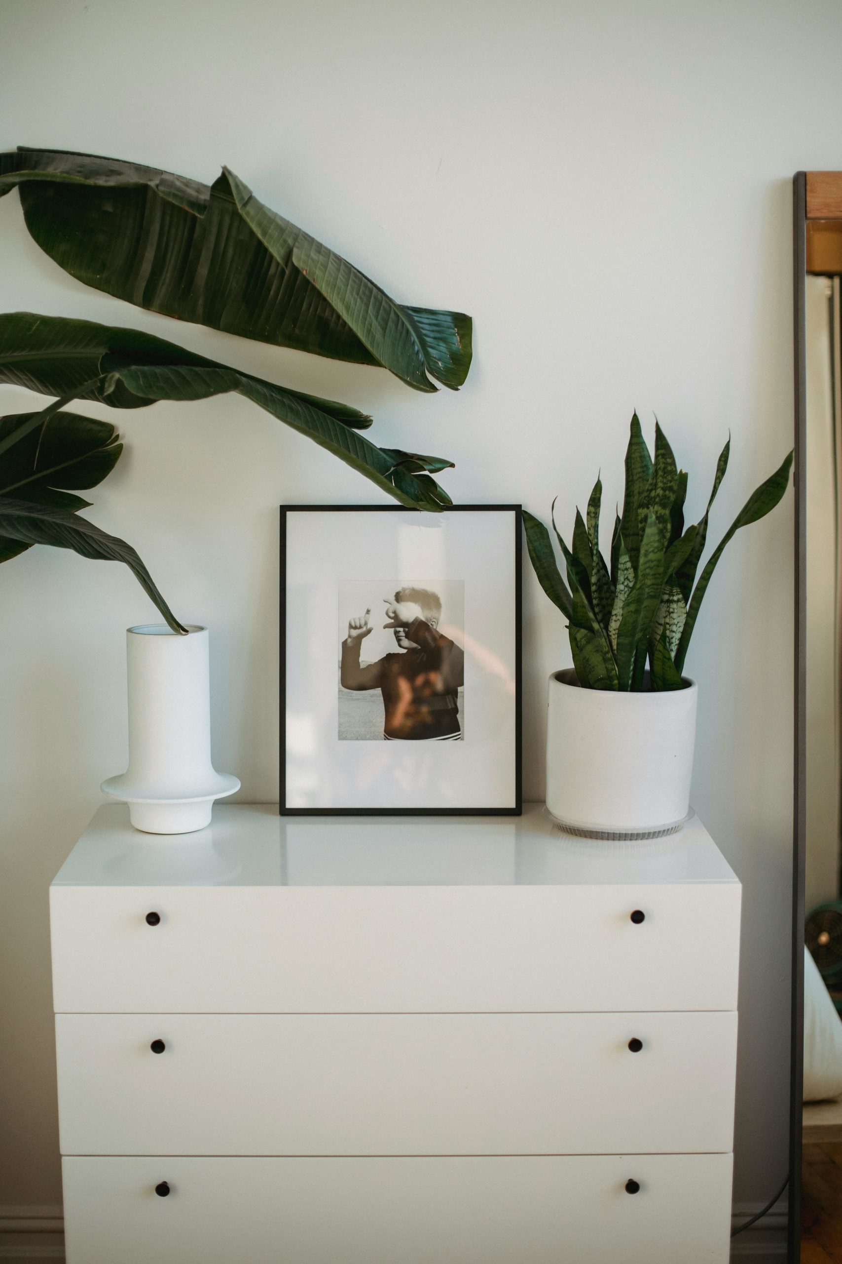 a printed photo on a dresser showing how make money as a photographer